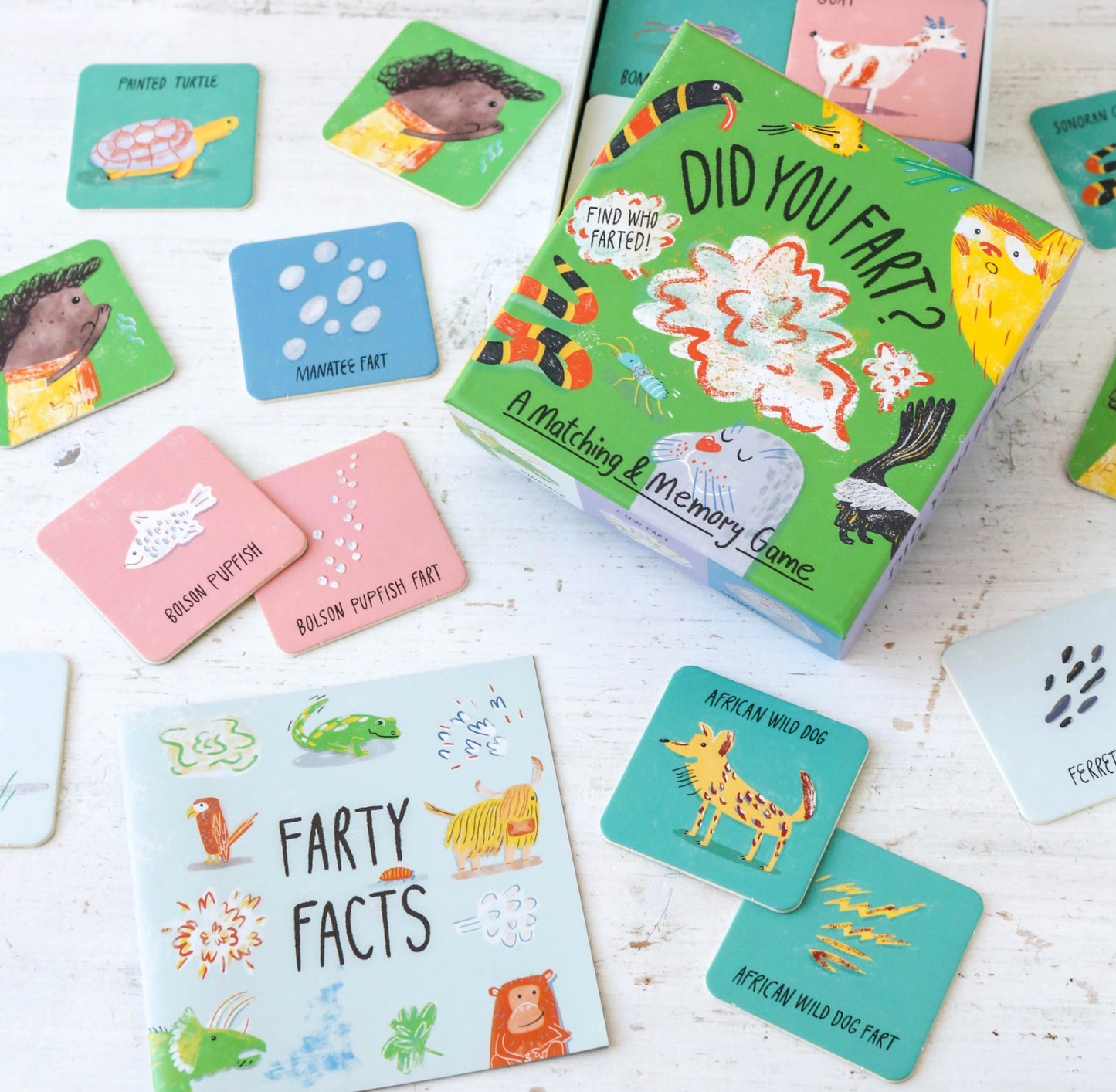 Did You Fart?: A Matching & Memory Game