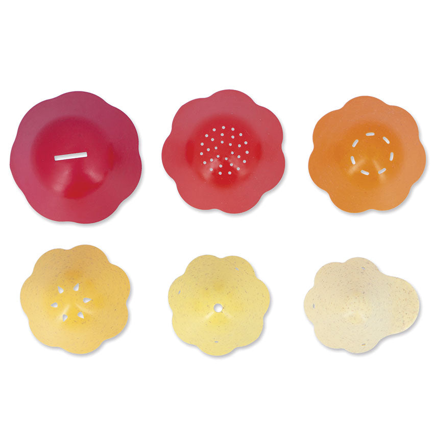 Bernard and his Shell Set - Janod