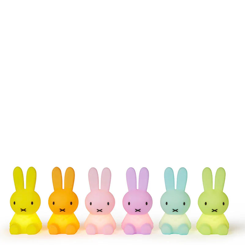 MIFFY COLOURFUL SURPRISE BUNDLE OF LIGHT